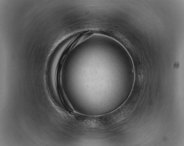 X0000091480728200708161418