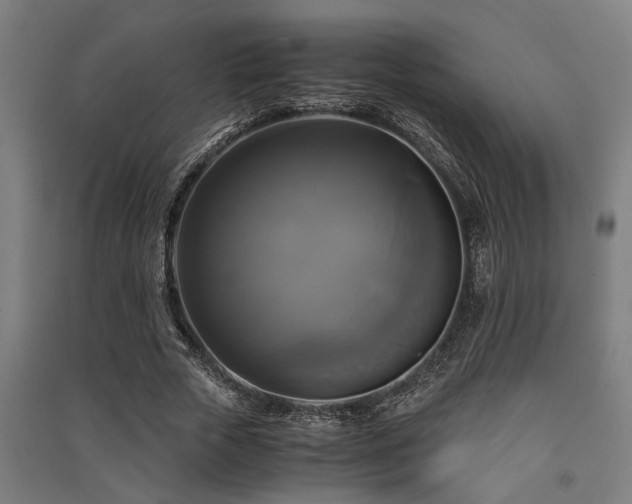 X0000091480729200708161418