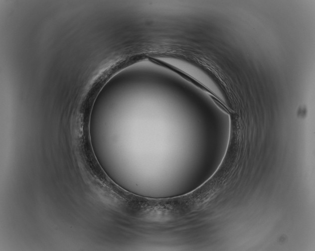 X0000091480731200708161418