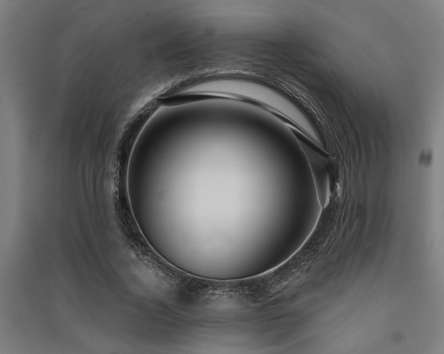 X0000091480732200708161418