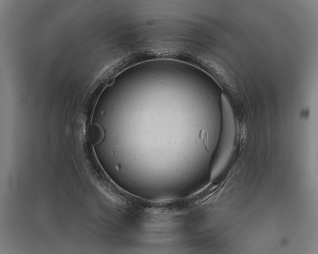 X0000091480733200708161418