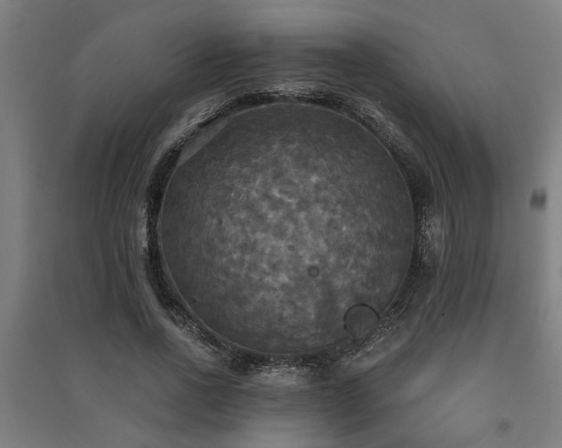 X0000091480734200708161418