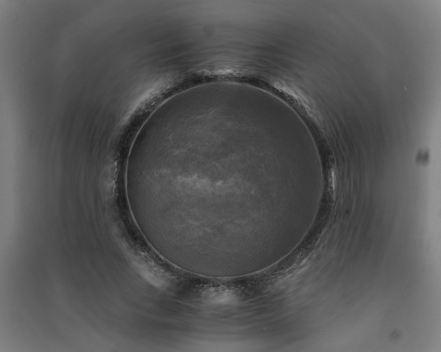 X0000091480735200708161418