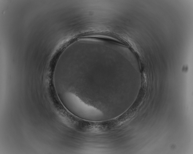 X0000091480736200708161418