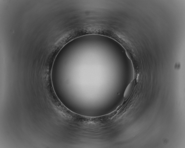 X0000091480737200708161418