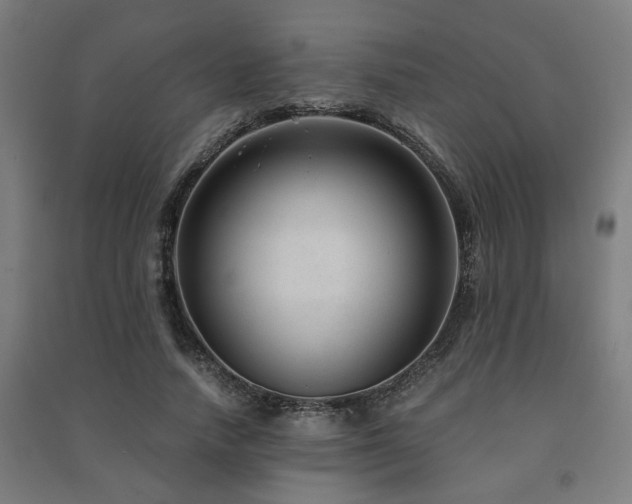 X0000091480738200708161418