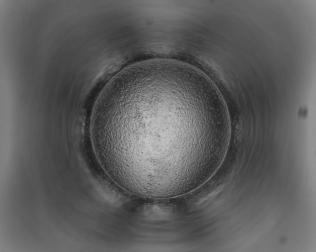 X0000091480739200708161418
