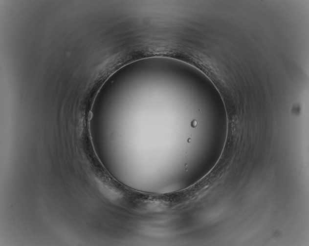 X0000091480741200708161418