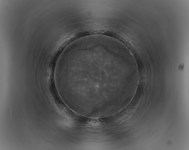 X0000091480742200708161418