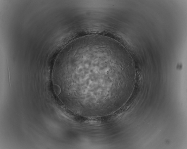 X0000091480745200708161418