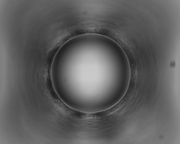 X0000091480746200708161418