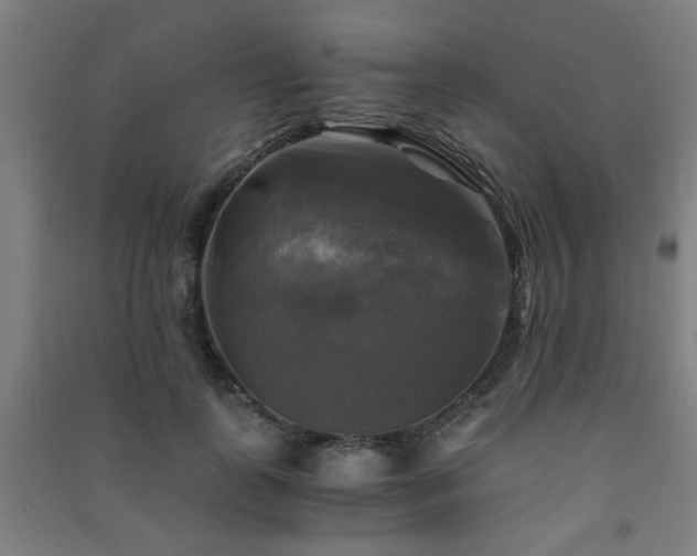 X0000091480747200708161418