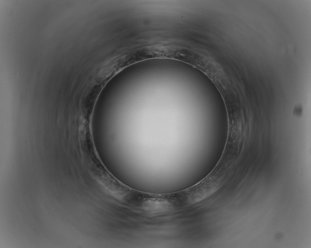 X0000091480749200708161418