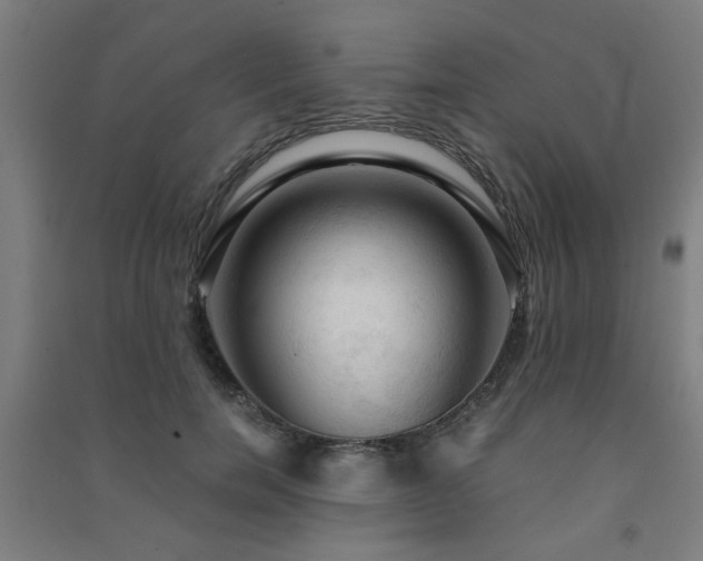 X0000091480750200708161418