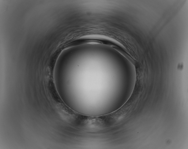 X0000091480752200708161418
