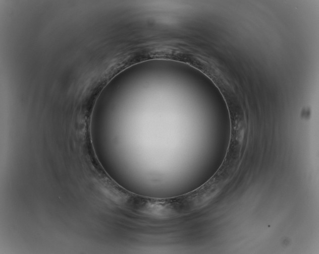 X0000091480753200708161418
