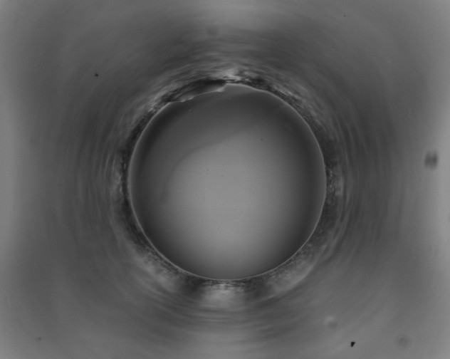 X0000091480754200708161418