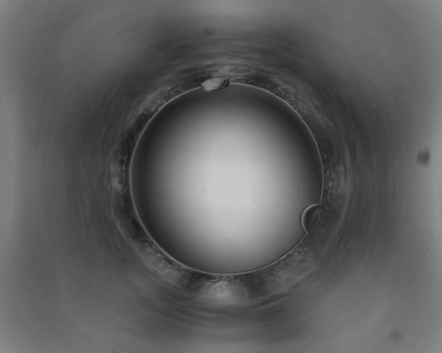 X0000091480755200708161418