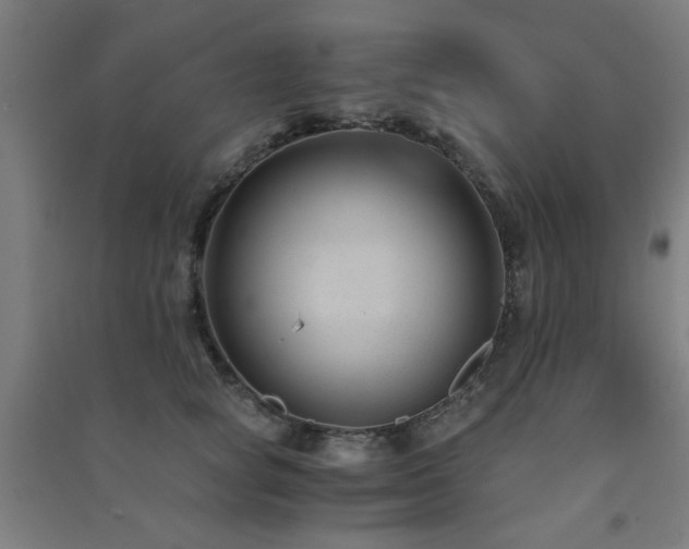 X0000091480757200708161418