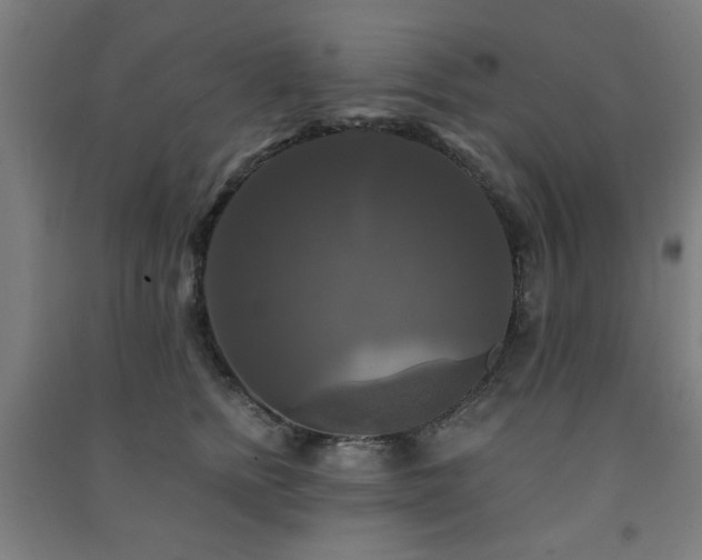 X0000091480758200708161418