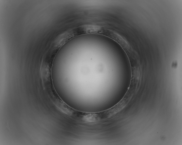 X0000091480761200708161418