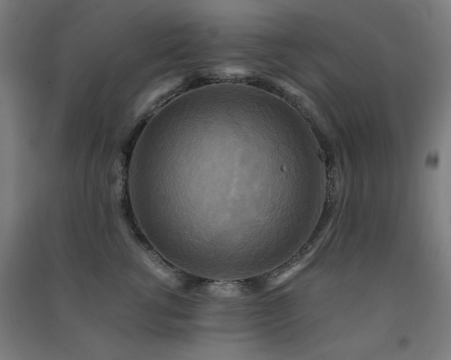 X0000091480762200708161418