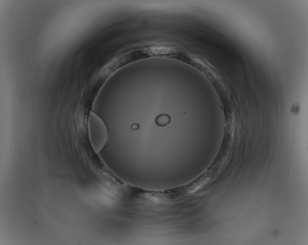 X0000091480763200708161418