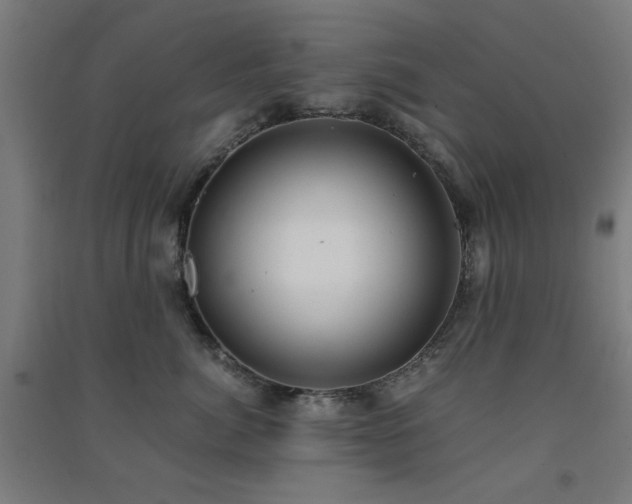 X0000091480764200708161418