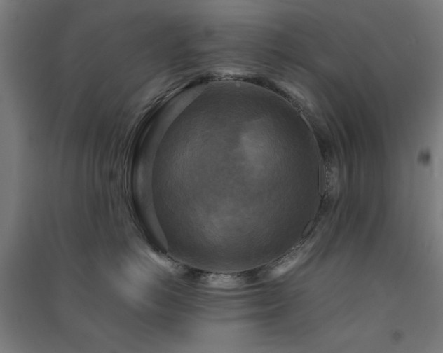 X0000091480766200708161418