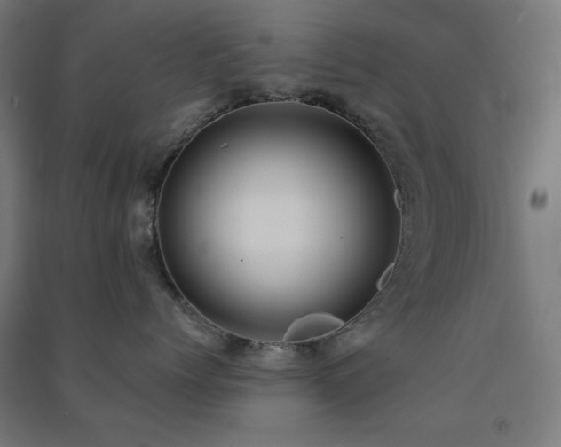 X0000091480768200708161418