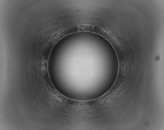 X0000091480770200708161418