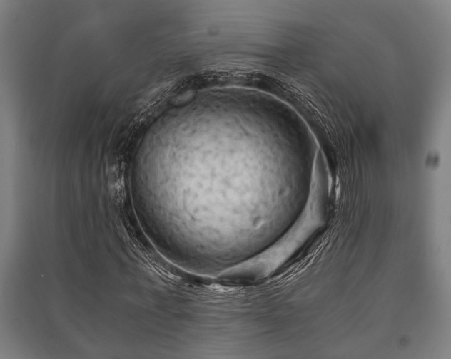 X0000091480771200708161418