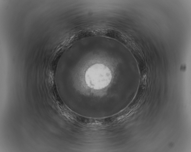X0000091480772200708161418