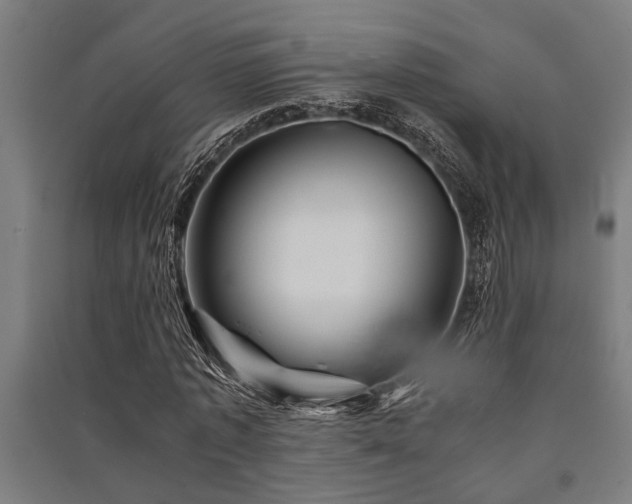 X0000091480773200708161418