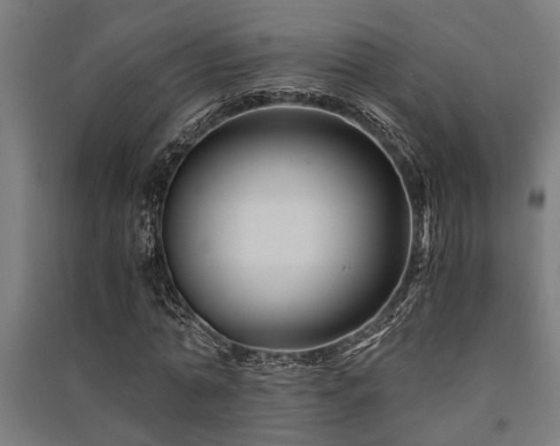 X0000091480774200708161418