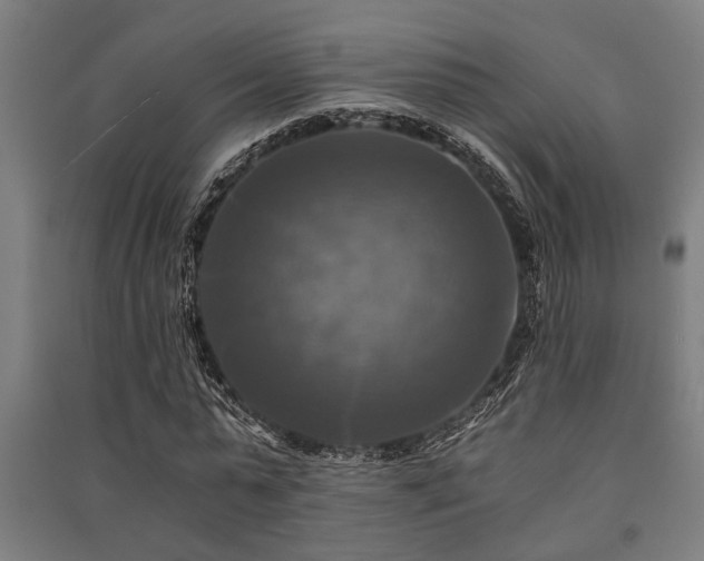 X0000091480775200708161418