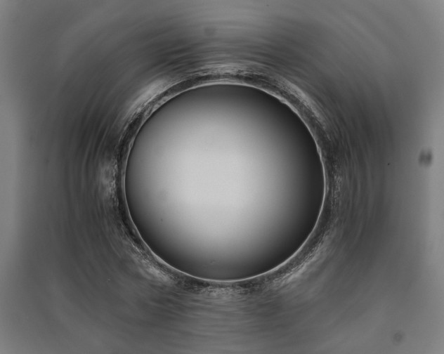 X0000091480778200708161418