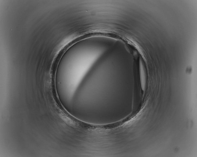 X0000091480779200708161418