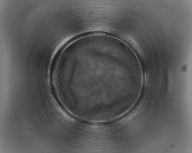 X0000091480780200708161418