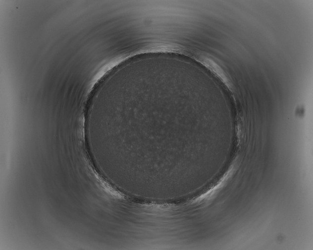 X0000091480781200708161418