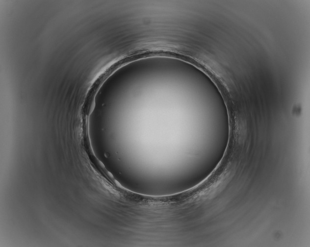 X0000091480782200708161418