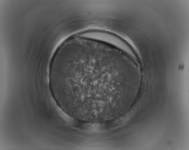 X0000091480791200708161417