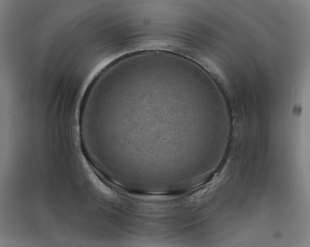X0000091480792200708161417