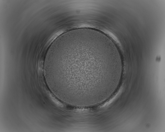 X0000091480793200708161417