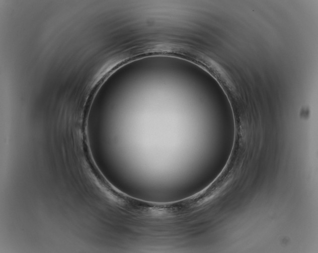 X0000091480794200708161417