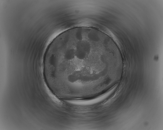 X0000091480795200708161417