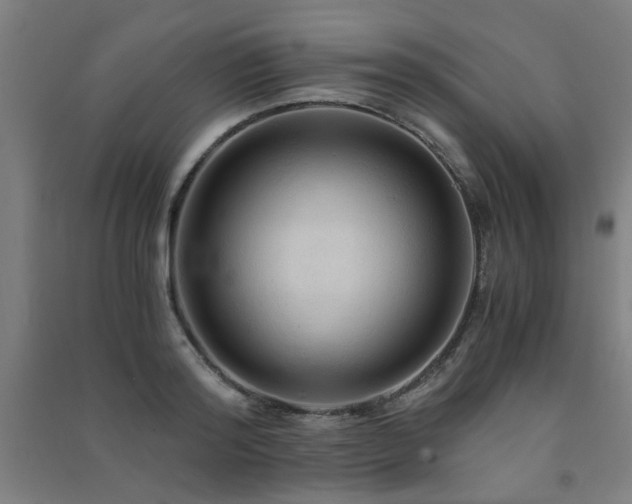 X0000091480796200708161417