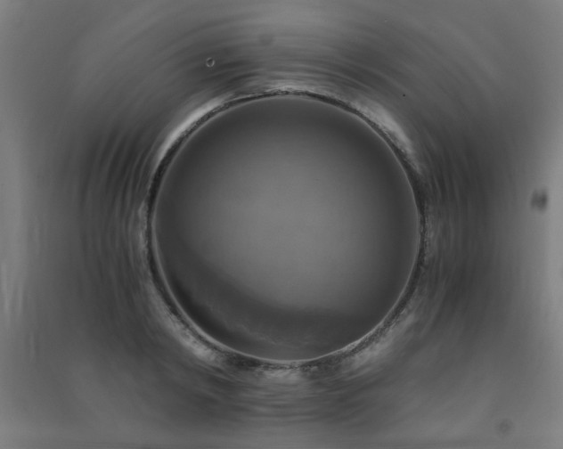X0000091480798200708161417