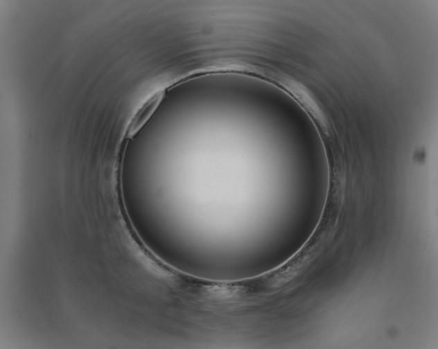 X0000091480805200708161417