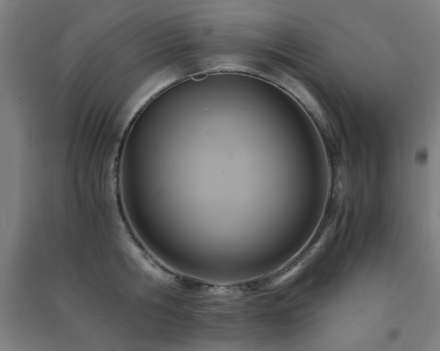 X0000091480806200708161417